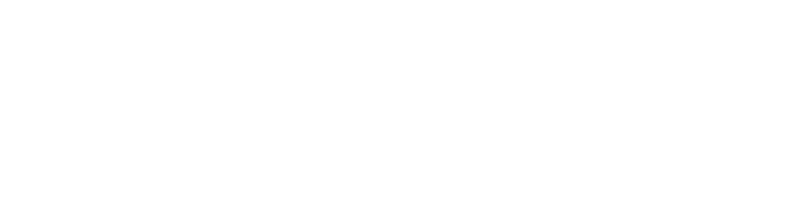 Fliegenfischen im Salzkammergut